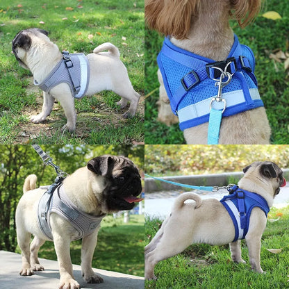 Secure Reflective Harness Set For Small Pets