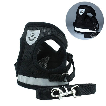 Secure Reflective Harness Set For Small Pets