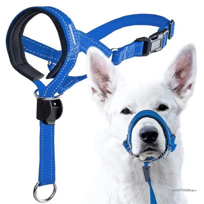 Dog Halter Training Head Collar (Muzzle)