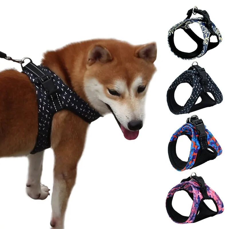 Comfortable And Secure Harness For Pets