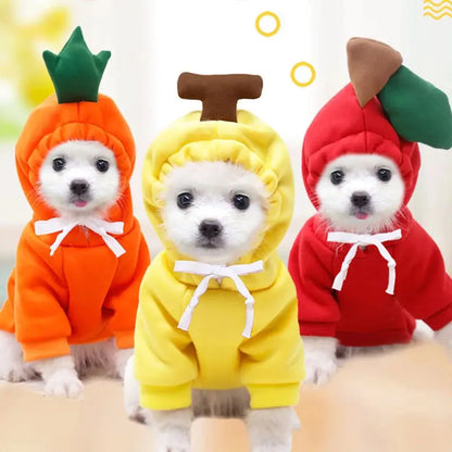 Cute And Cozy Costumes