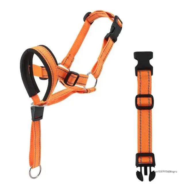 Dog Halter Training Head Collar (Muzzle)