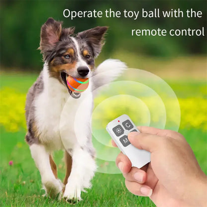 Smart LED Flashing Dog Toy Ball with or without Remote