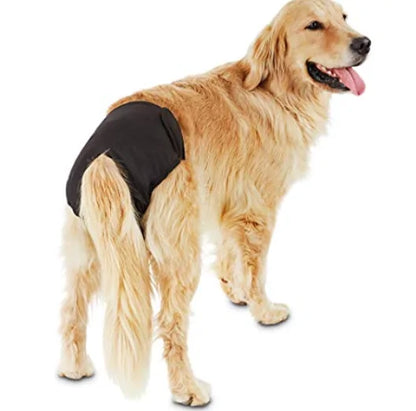 Reusable Dog Diaper