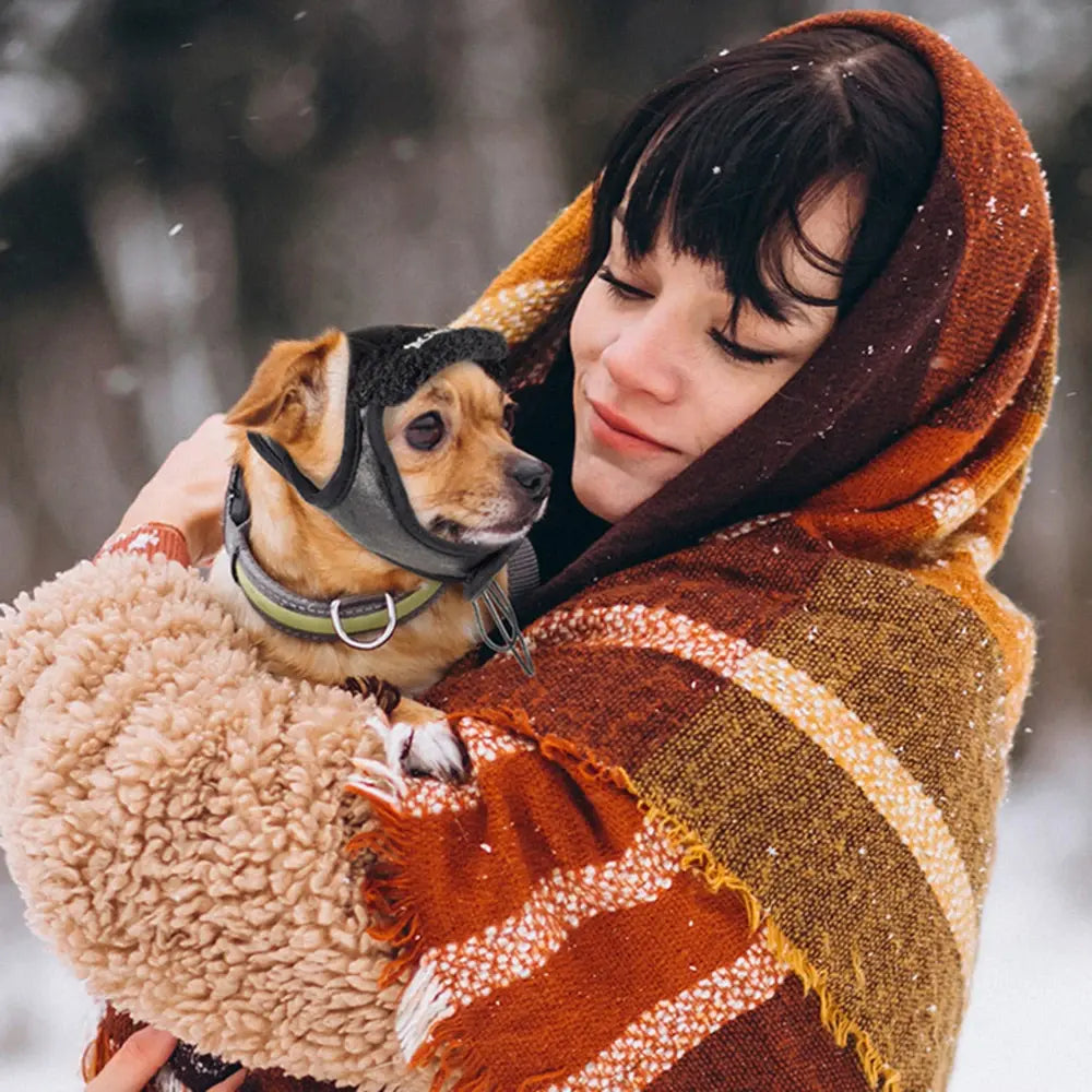 Winter Pet Dog Hat