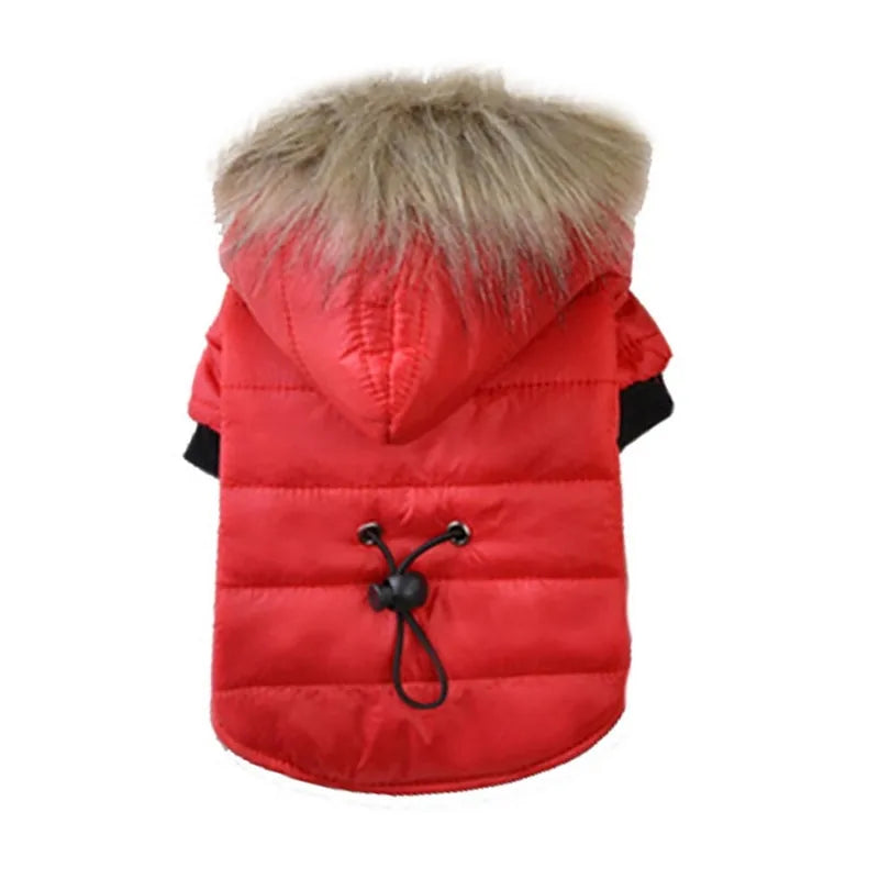 Warm Winter Small Dog Jackets