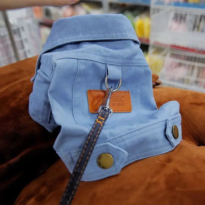 Spring Dog Suit Denim Coat