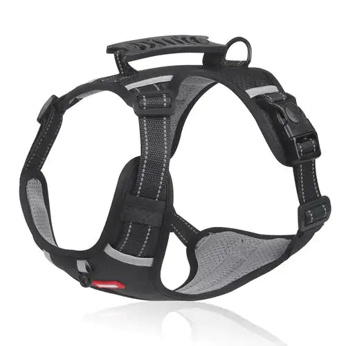 Dog Walking Harness