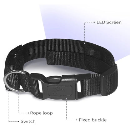 Bluetooth  Luminous Pet Collar