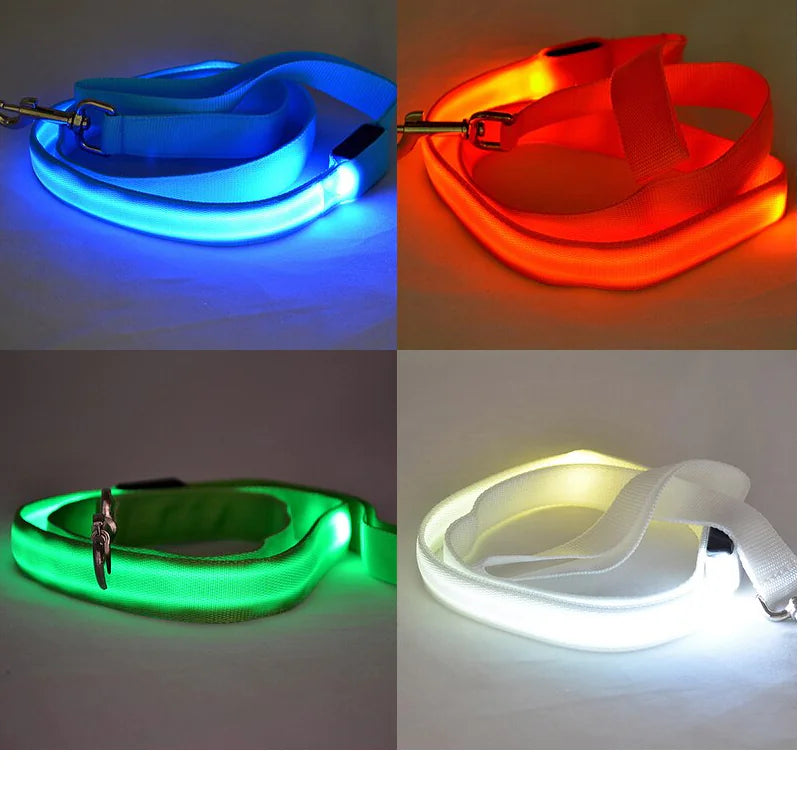 Reflective LED Dog Leash