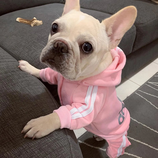 Small Dog Tracksuit Jumpsuit