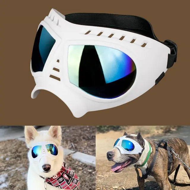 Dog Sunglass Windproof Summer Goggles/ Eye Protection