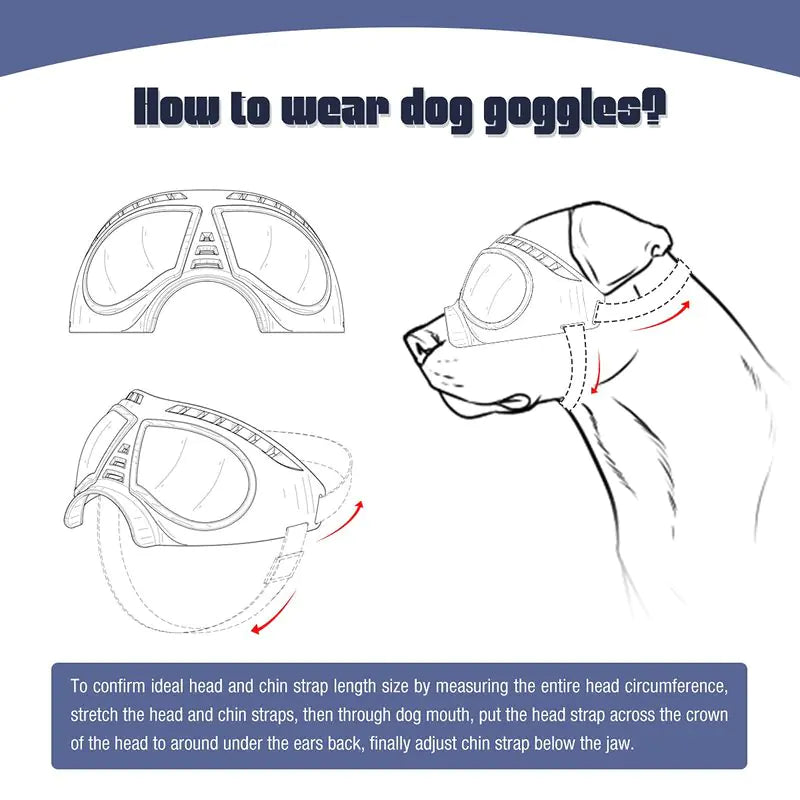 Dog Sunglass Windproof Summer Goggles/ Eye Protection