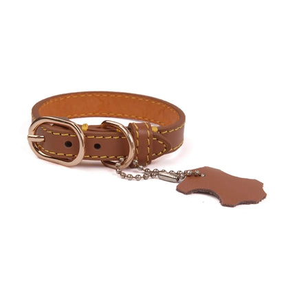 Personalized Genuine Leather Dog Collar