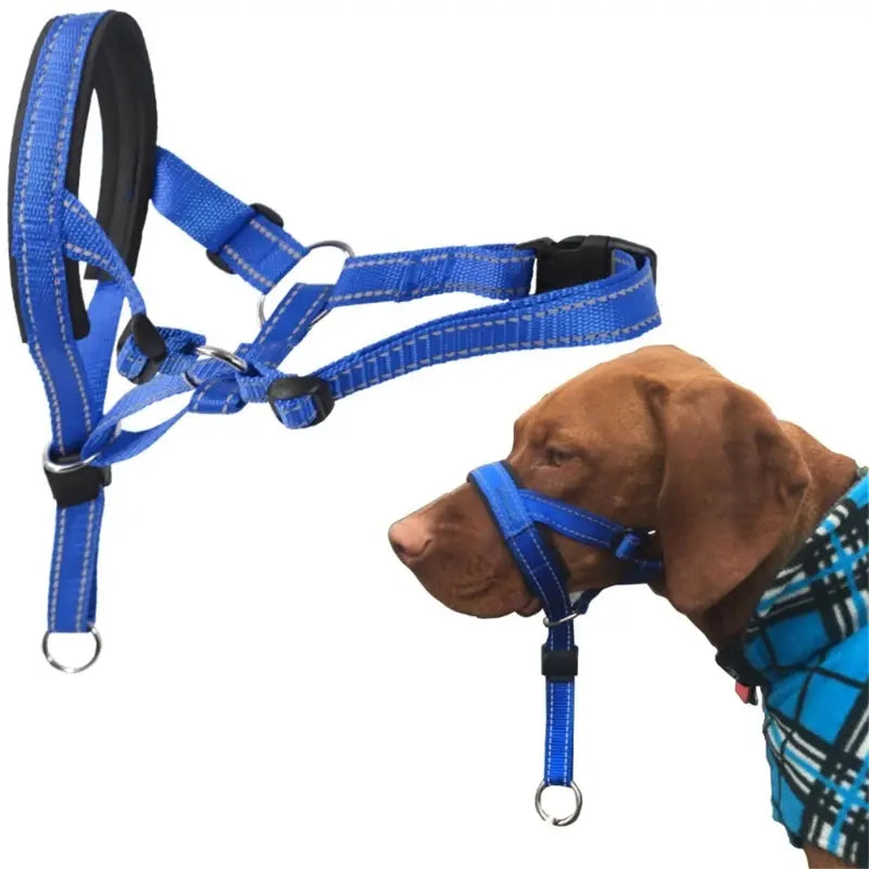 Dog Halter Training Head Collar (Muzzle)