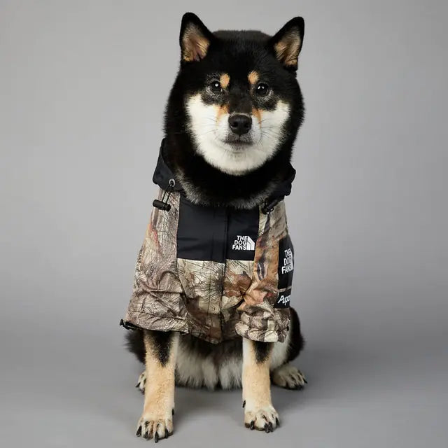 The Modern Paws Dog Coat