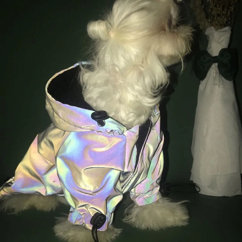 Shiny Dog Hoodie