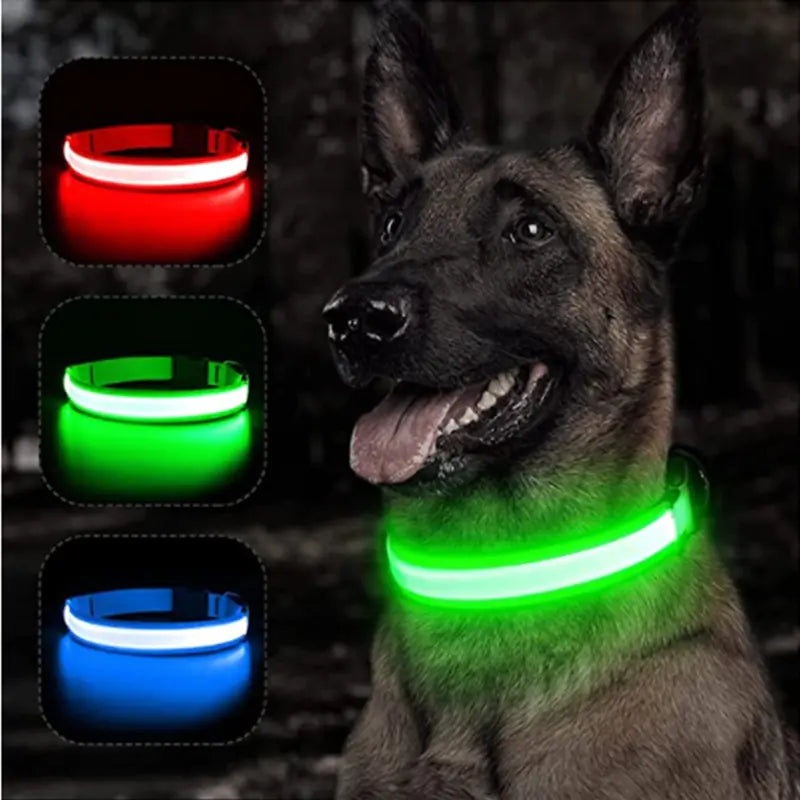 Glowing Dog Collar