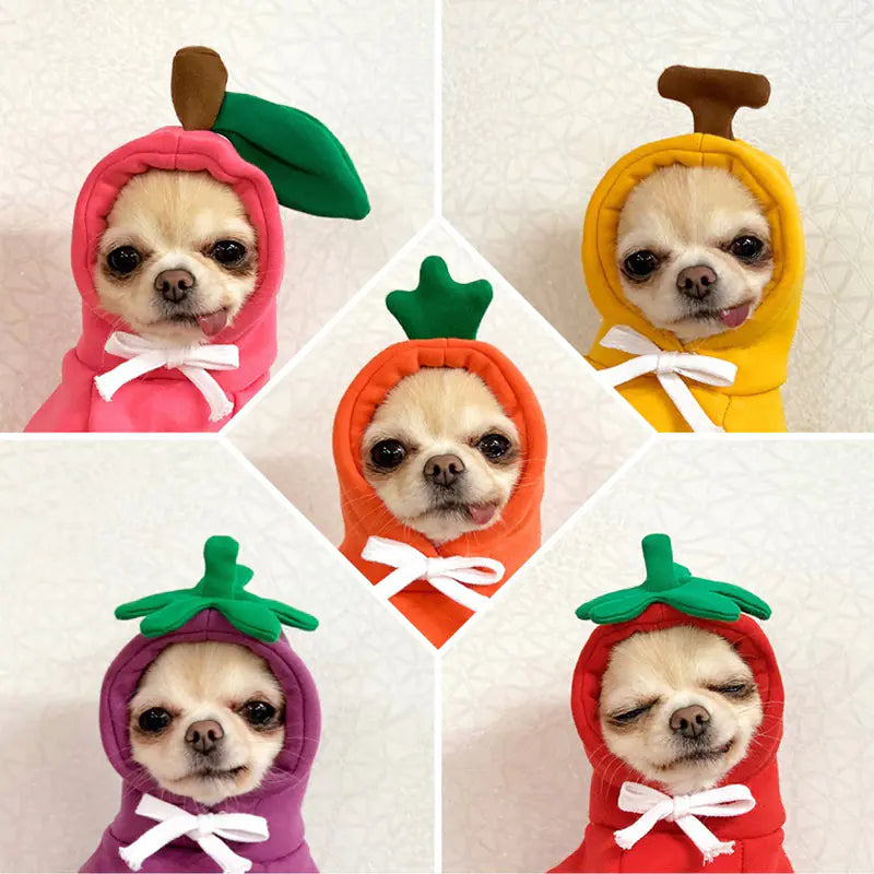 Cute And Cozy Costumes