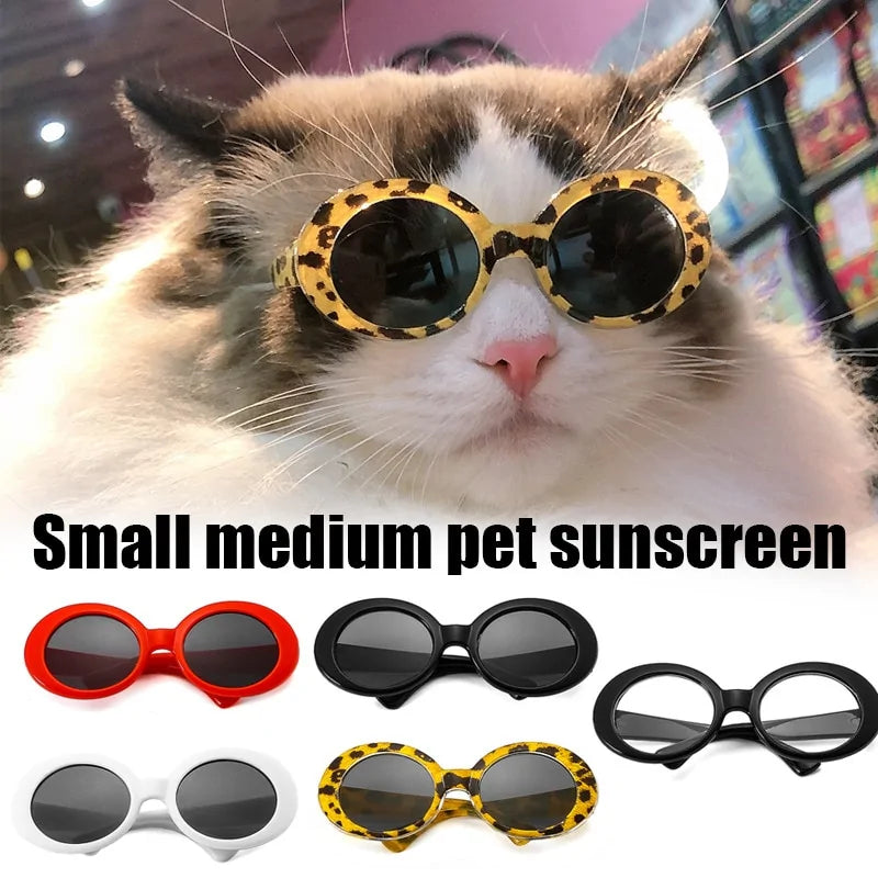 Cat Sunglasses