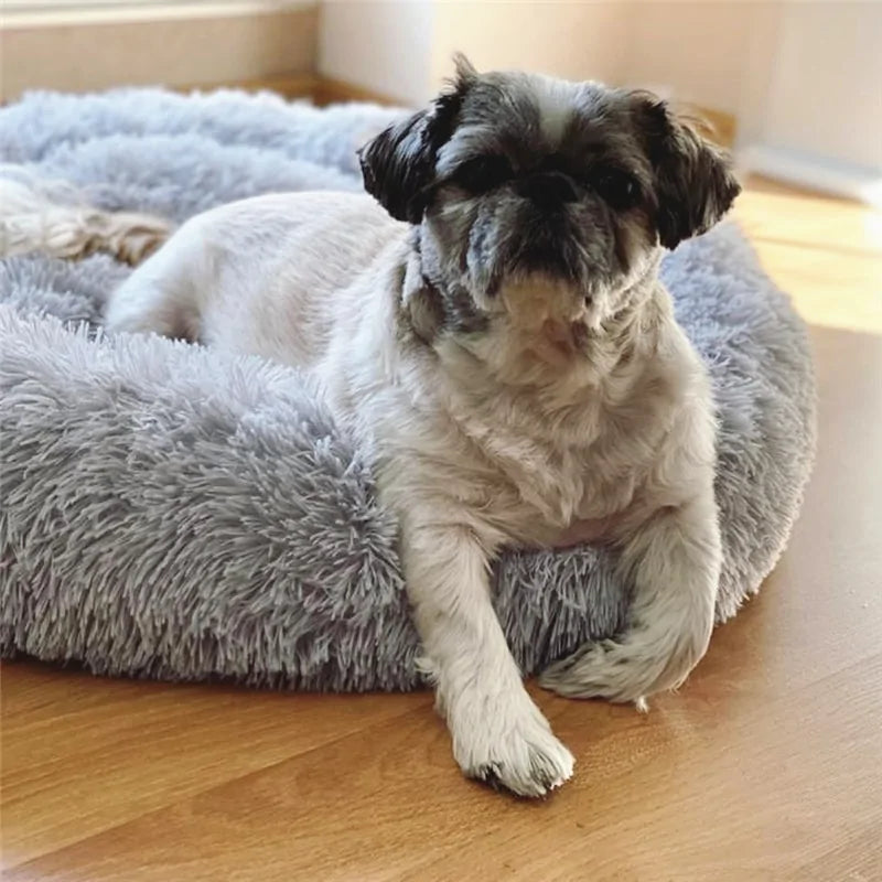 Plush Round Dog/Cat Bed