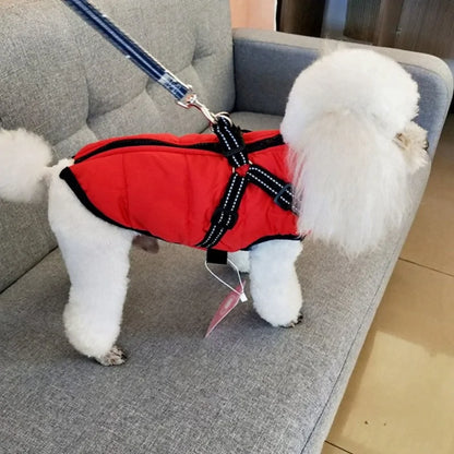 Pet Dog Jacket With Harness