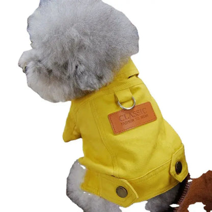 Spring Dog Suit Denim Coat