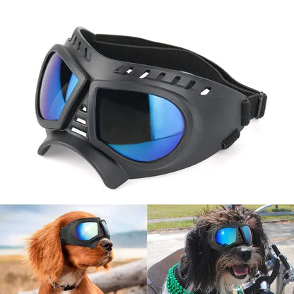 Dog Sunglass Windproof Summer Goggles/ Eye Protection