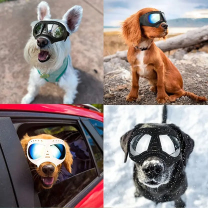 Dog Sunglass Windproof Summer Goggles/ Eye Protection