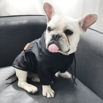 Small Stylish Dog Jackets