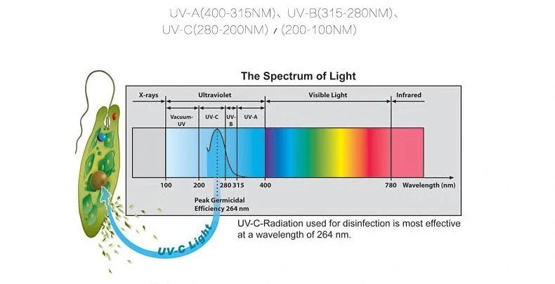 36W, 110V, 220V UV Sterilizing Lamp, Ultraviolet Germicidal Lamp,