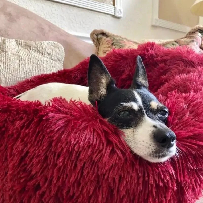 Plush Round Dog/Cat Bed