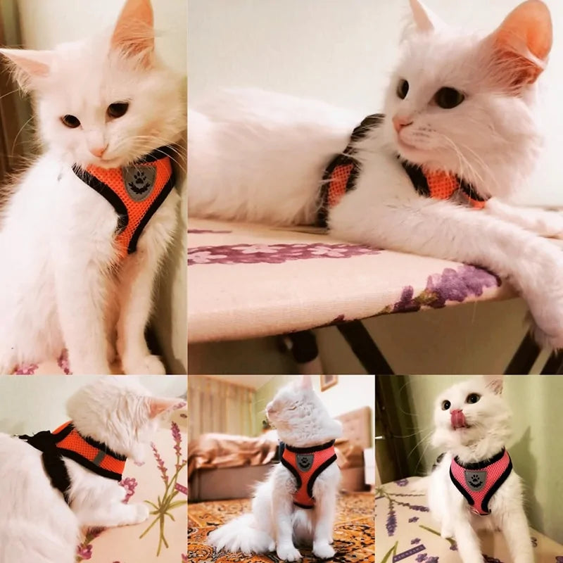 Adjustable Dog/Cat Harness